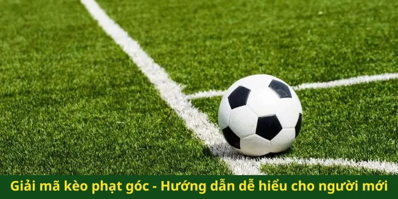 Giải mã kèo phạt góc - Hướng dẫn dễ hiểu dành cho người mới