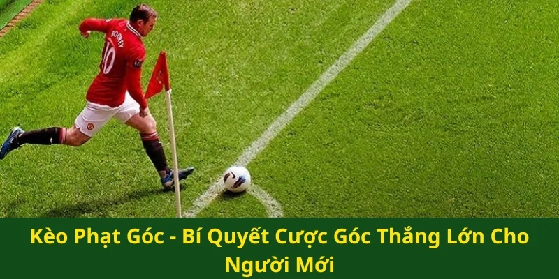 Kèo phạt góc