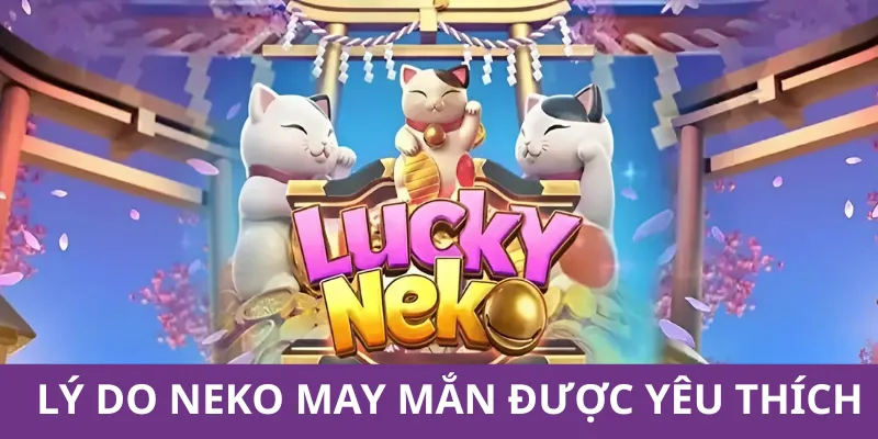 Neko may mắn được yêu thích vì nhiều lý do