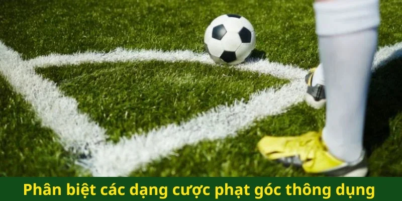 Phân biệt các dạng cược phạt góc thông dụng
